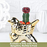 Cactus Tranquility Gift