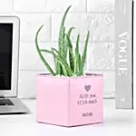 Aloe vera Love Pot