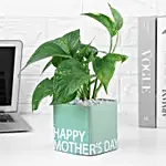 Happy Mother's Day Money Plant