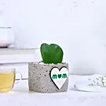 Hoya Plant in "Mom" Mug