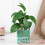 Money Plant for Mother's Day