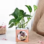 Money Plant in Personalised Vase