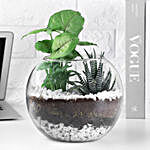 Tranquil Greenery Gift Set