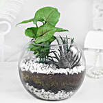Tranquil Greenery Gift Set