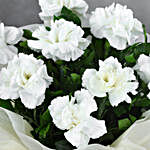 8 White Carnations Flower Bouquet - Small