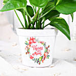 Money Plant Gift For Mom