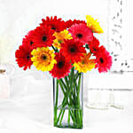 Elegant Gerberas Flower In Glass Vase