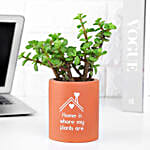 Jade Plant Gift