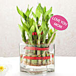 Bamboo Bliss Gift for Mom
