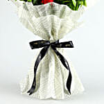Red Rose Romance & Cake Surprise