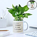 Nurtured Money Plant For Boss