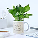 Nurtured Money Plant For Boss