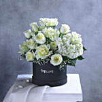 Luminous White Ensemble