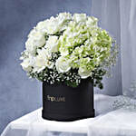 Luminous White Ensemble