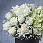 Luminous White Ensemble