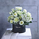 Luminous White Ensemble