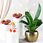 Snake Plant Diwali Gift Set