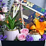 Luxe Bloom Hamper