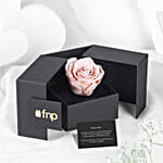 Forever Valentine Gift Set