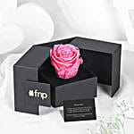 Forever Rose & Truffle Bento Cake