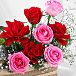 Evergreen Romance Plant Duo