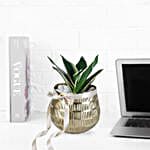 Milt Sansevieria Plant In Luxe Gold Pot