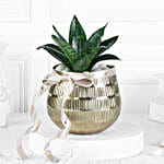 Sansevieria Plant In Blingy Gold Pot