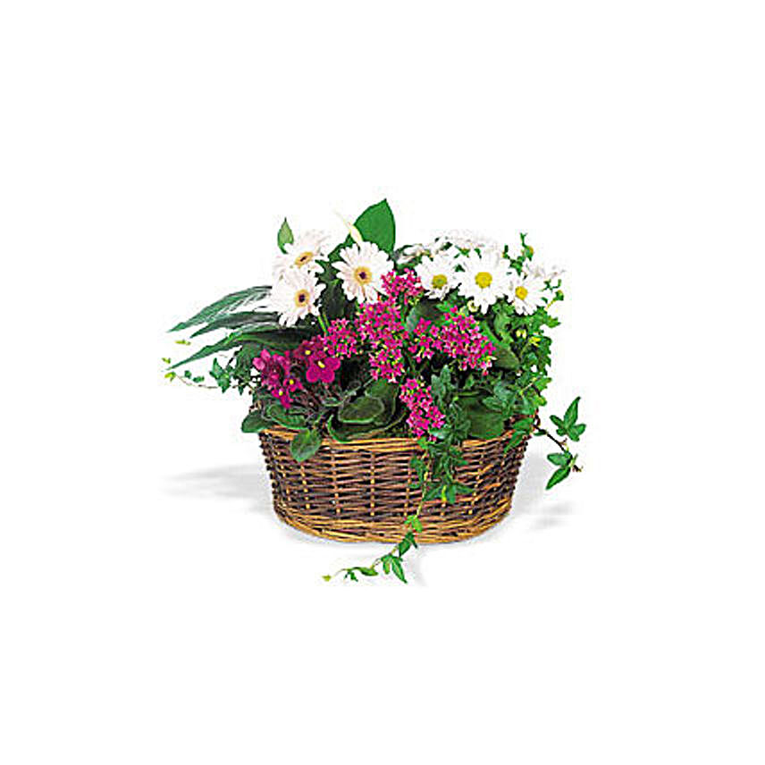Send a Smile Flower Basket