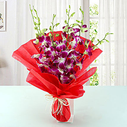 Purple Affinity:Send Orchid Flowers to Saudi Arabia