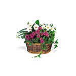 Send a Smile Flower Basket