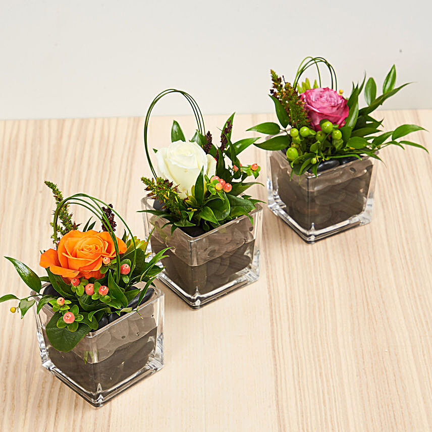 Set Of 3 Rose Vase Arrangements