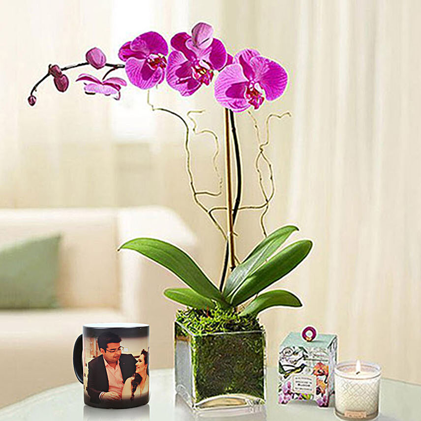 Personalised Black Magical Mug With Purple Orchid Plant