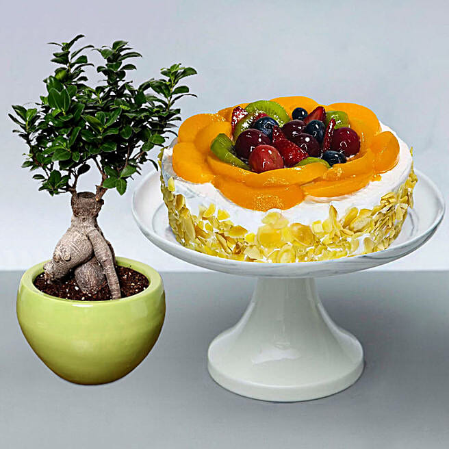 Fruit Cake with Bonsai Plant singapore | Gift Fruit Cake with Bonsai Plant-  FNP