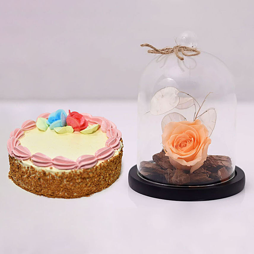 Peach Forever Rose In Glass Dome & Mini Cheese Cake