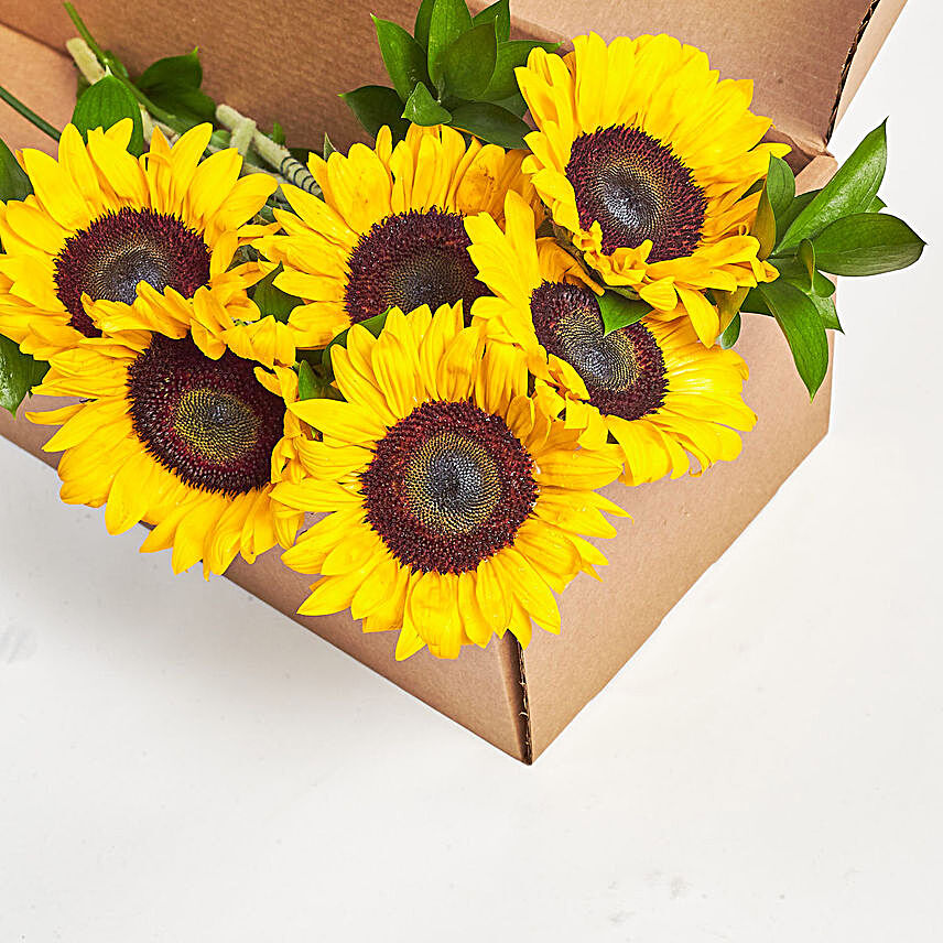 Vibrant Sunflowers Box