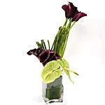 Exotic Calla Lilies and Anthurium Arrangement