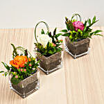 Set Of 3 Rose Vase Arrangements