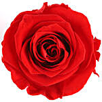 Beautiful Single Forever Red Rose With Black Box