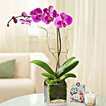 Personalised Black Magical Mug With Purple Orchid Plant