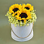 Cheerful Sunflowers & Baby Breath Box Arrangement
