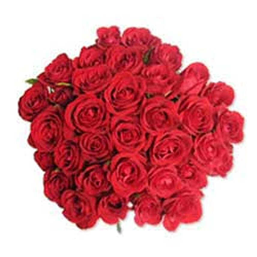 12 Red Roses in Cellophane SA
