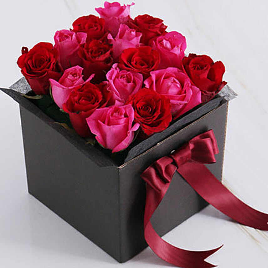 Cerise Rose Blossoms:Gifts to South Africa