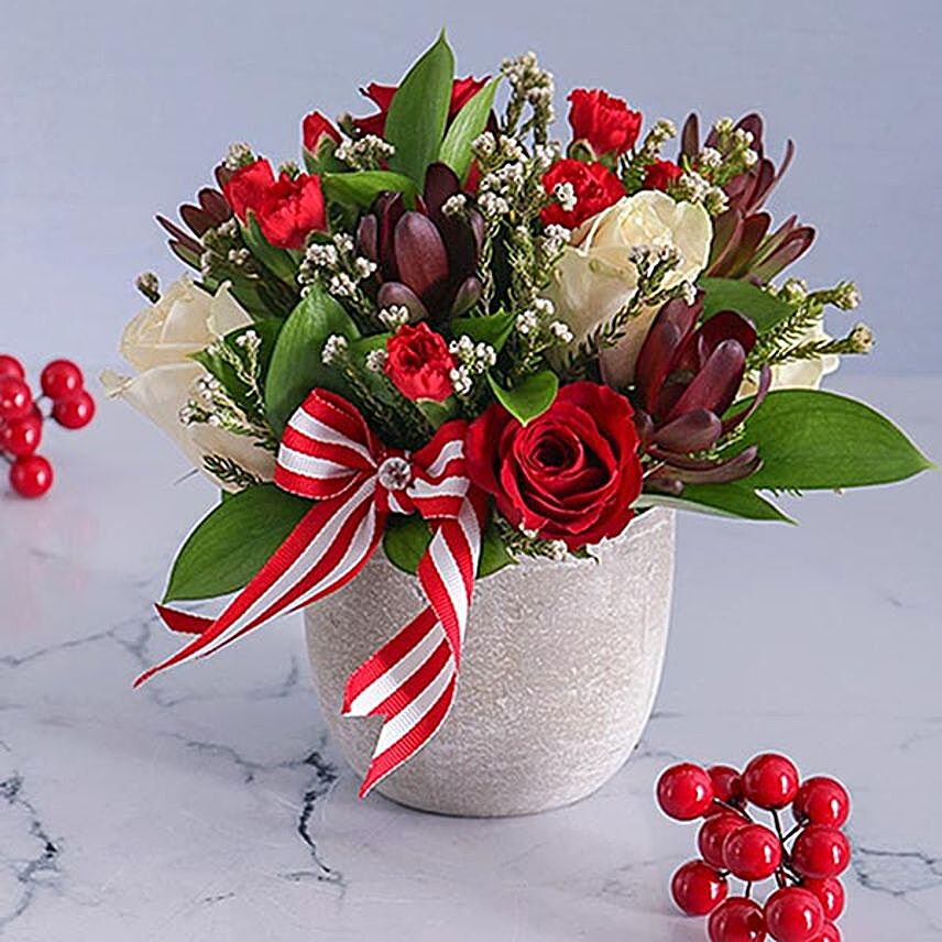Red And White Carnations In A Pot