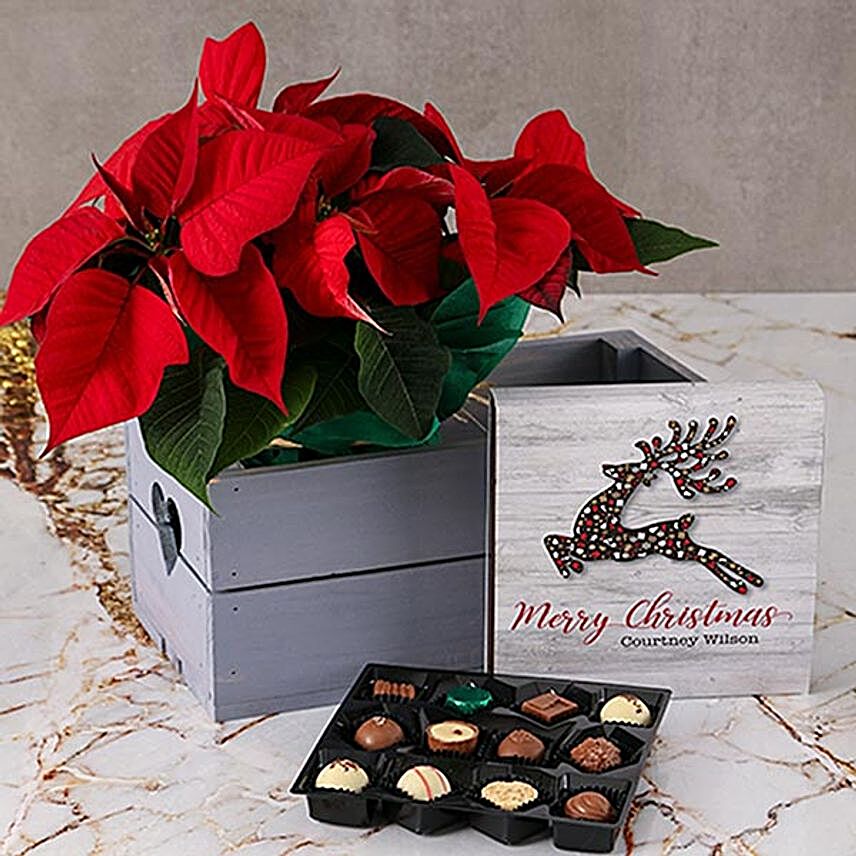 Wooden Crate Poinsettias And Chocolate Truffle Combo:Send Corporate Gifts to South Africa