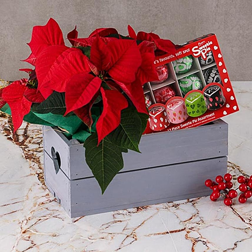 Wooden Crate Poinsettias And Sweetie Pie Combo