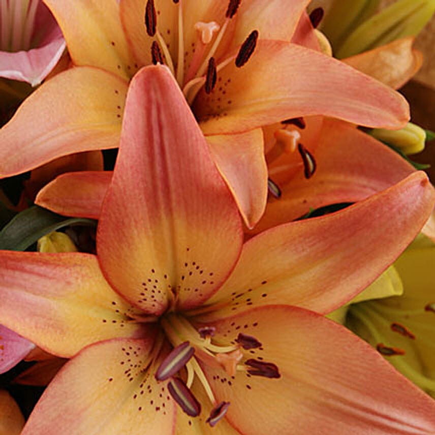 Lilies In Craft Paper