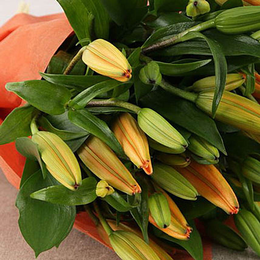 Orange Asiflorum Lily Bouquet