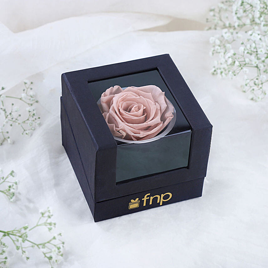 Personalised Antique Beauty Love Combo