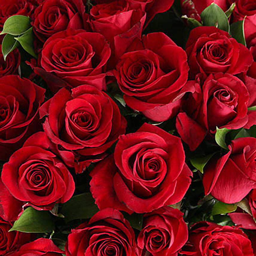 Scarlet Love Rose Vase