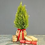 Mini Fairy Light Christmas Tree